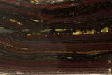 Polished Tiger Iron Stromatolite Section - Billion Years #314328-1